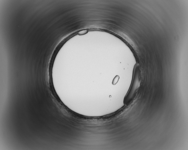 X0000096170980200802151431