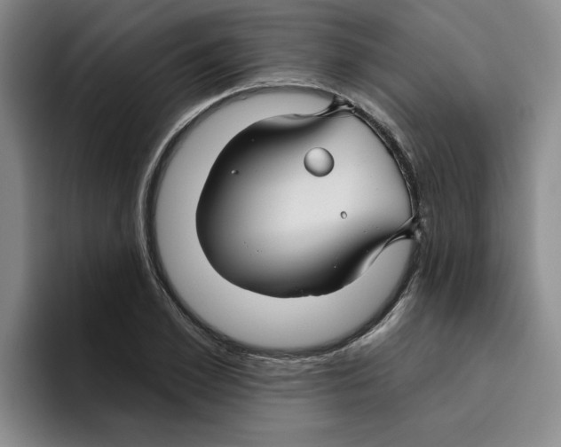 X0000096170981200802151431