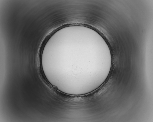 X0000096170982200802151431