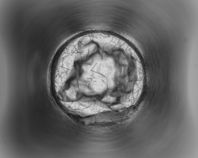 X0000096170983200802151431
