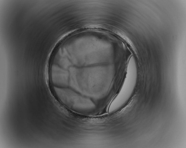 X0000096170984200802151431