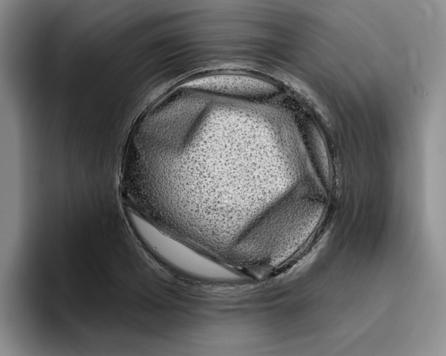 X0000096170985200802151431