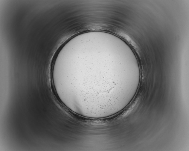 X0000096170986200802151431