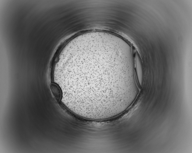 X0000096170987200802151431