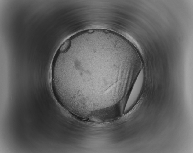 X0000096170988200802151431