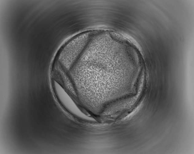 X0000096170989200802151431