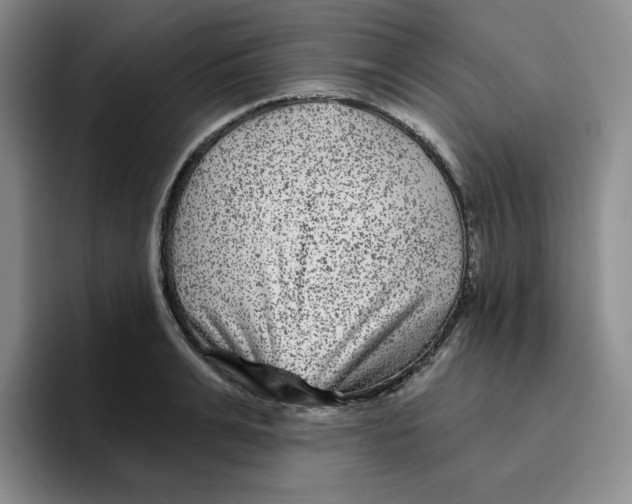 X0000096170991200802151431