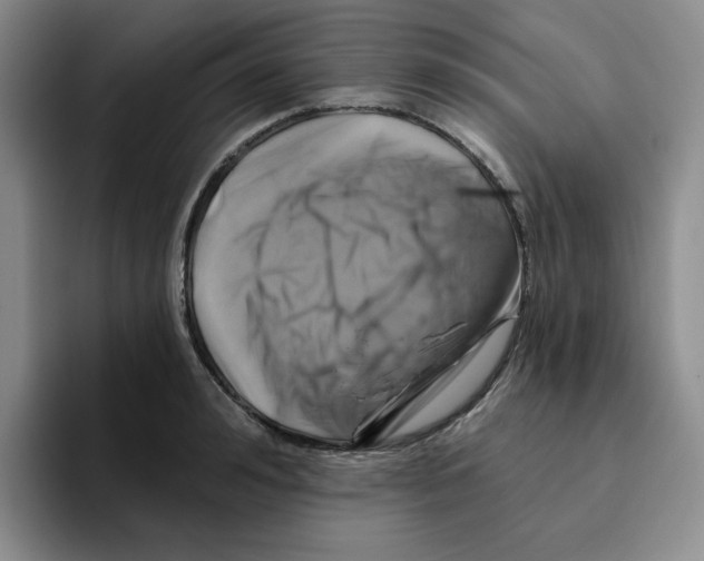 X0000096170992200802151431