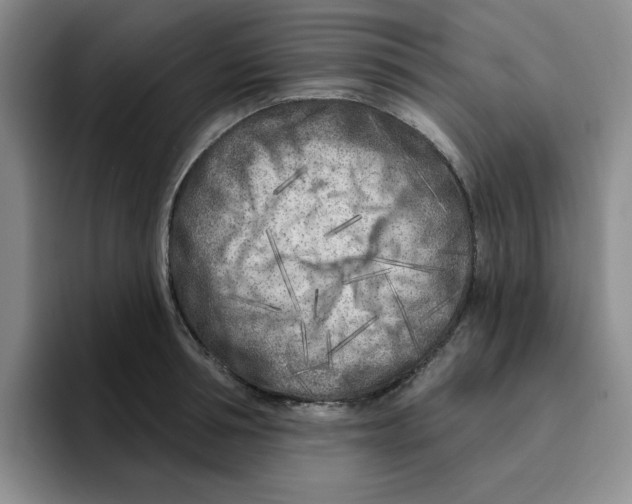 X0000096170994200802151431