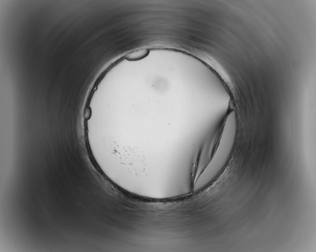 X0000096170996200802151431