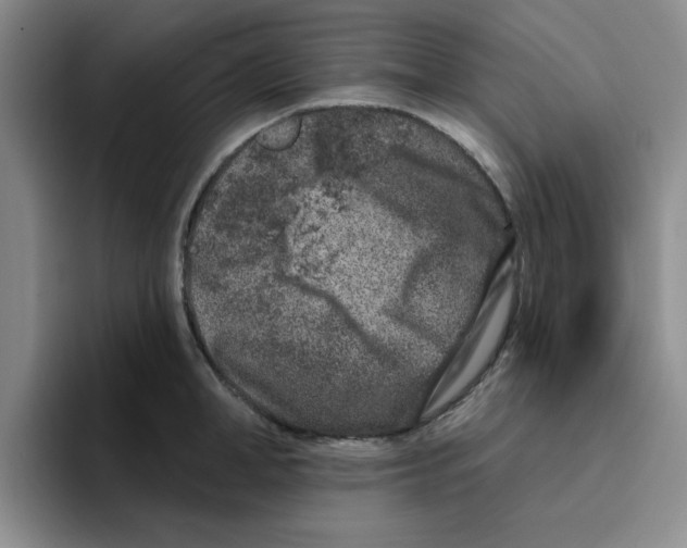 X0000096170998200802151431
