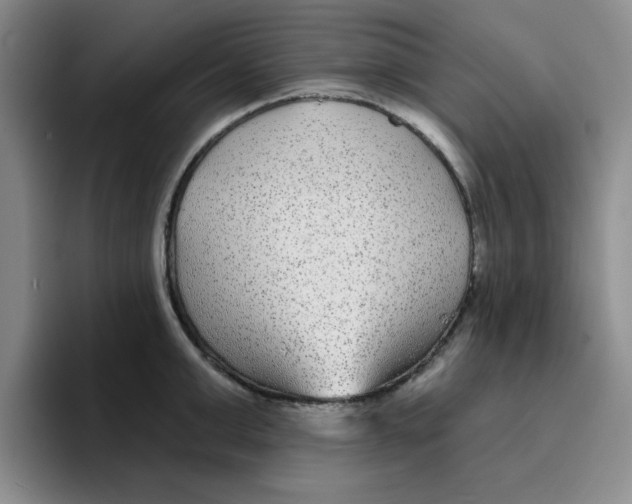 X0000096170999200802151431