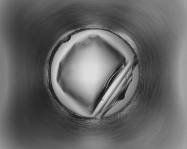 X0000096171000200802151431