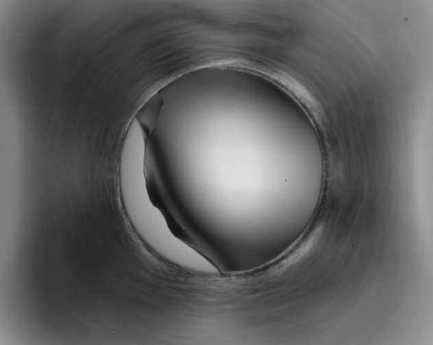X0000096171001200802151431