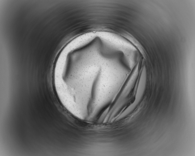 X0000096171002200802151431