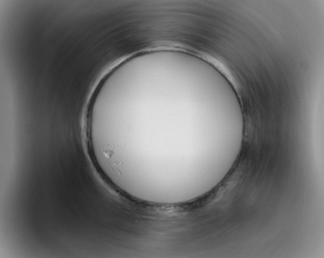 X0000096171003200802151431