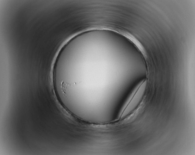 X0000096171004200802151431