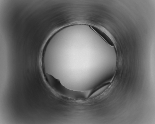 X0000096171005200802151431