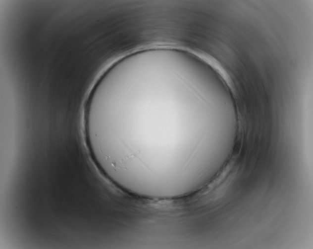 X0000096171006200802151431