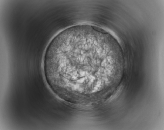 X0000096171007200802151431