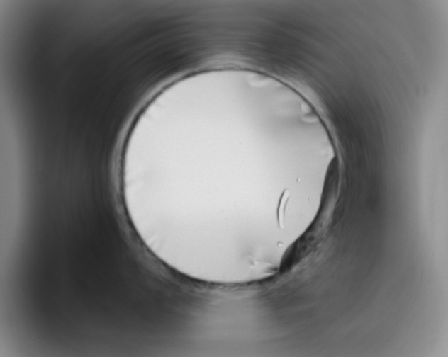 X0000096171008200802151431