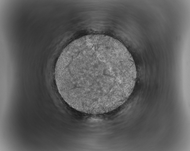 X0000096171009200802151430