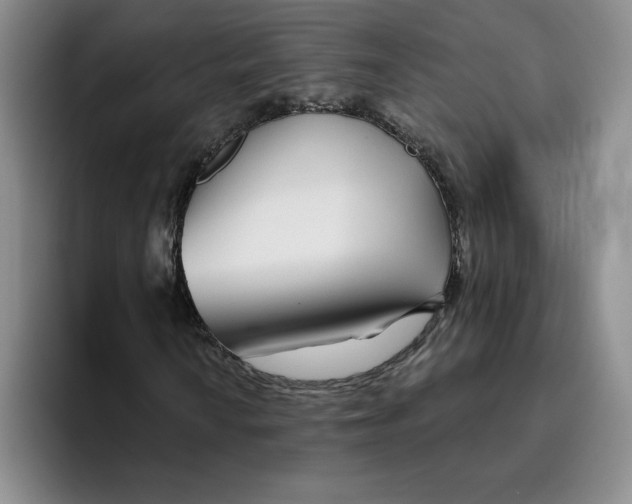 X0000096171010200802151430