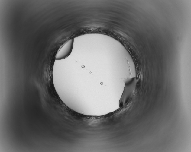X0000096171014200802151430