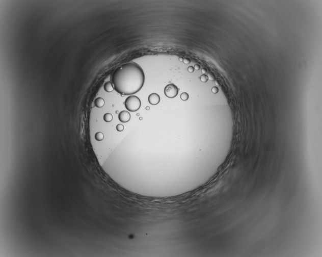 X0000096171016200802151430