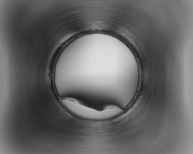 X0000096171018200802151430