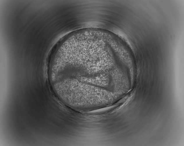 X0000096171019200802151430