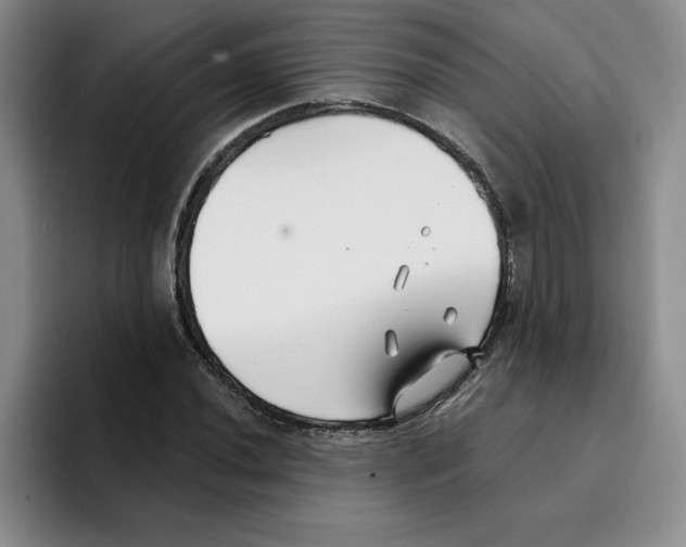 X0000096171020200802151430