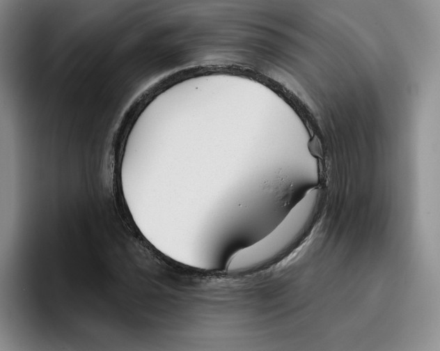 X0000096171021200802151430