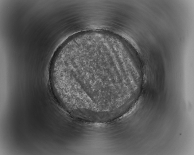 X0000096171023200802151430