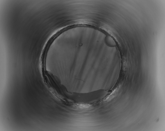 X0000096171024200802151430