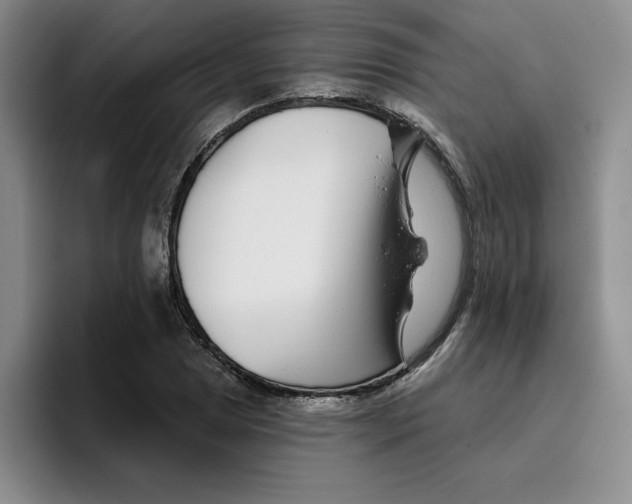 X0000096171025200802151430