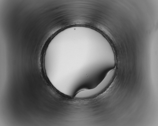 X0000096171026200802151430