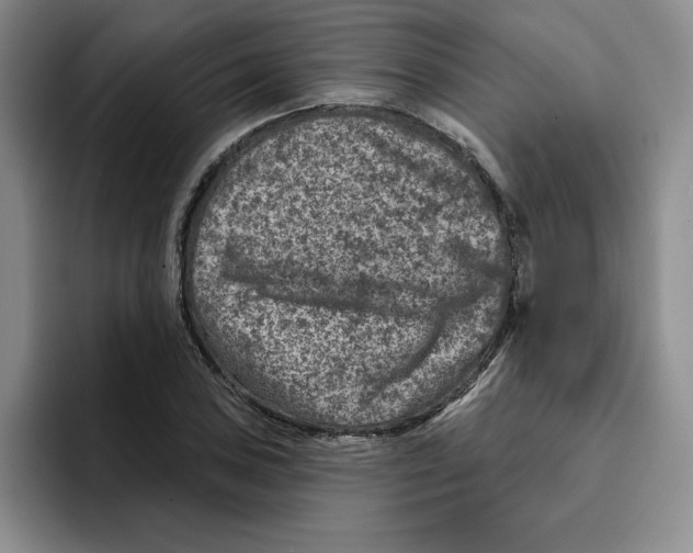 X0000096171027200802151430