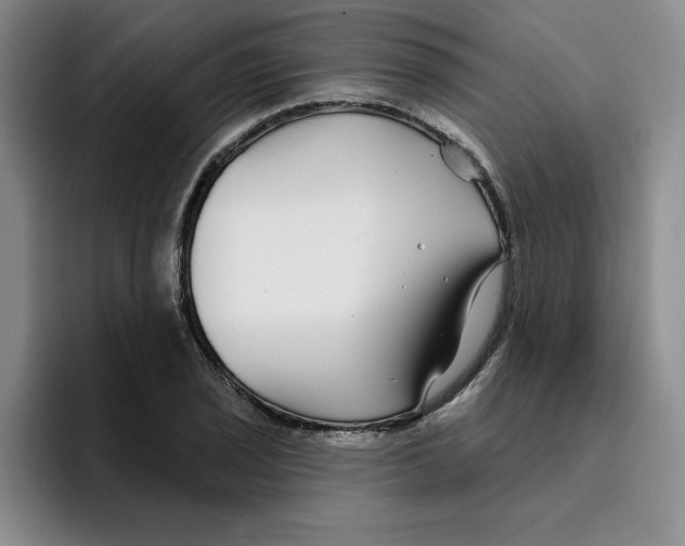 X0000096171029200802151430