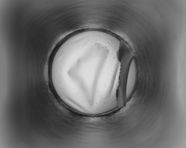 X0000096171030200802151430