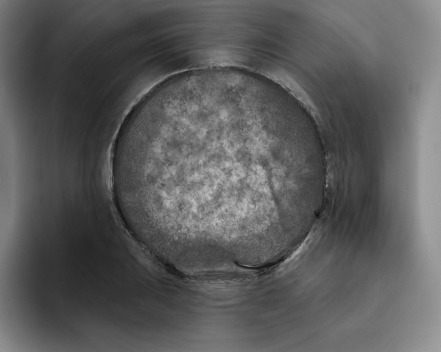 X0000096171031200802151430