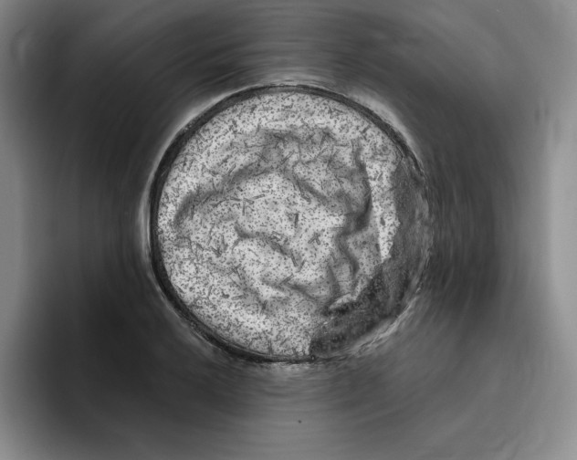 X0000096171032200802151430