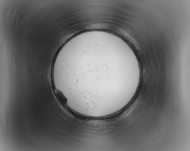 X0000096171033200802151430