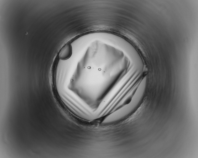 X0000096171034200802151431