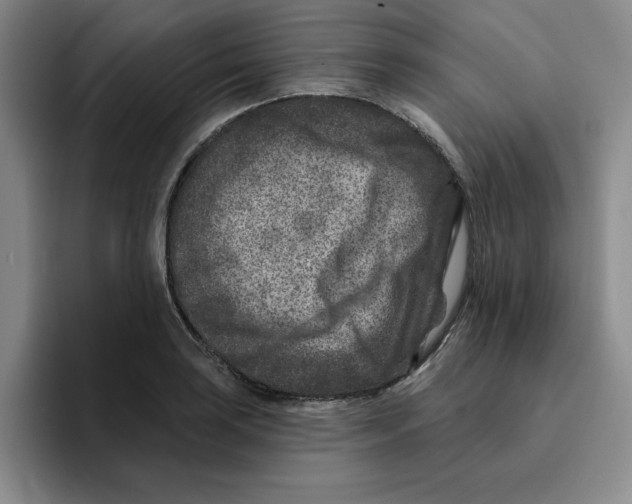 X0000096171035200802151431