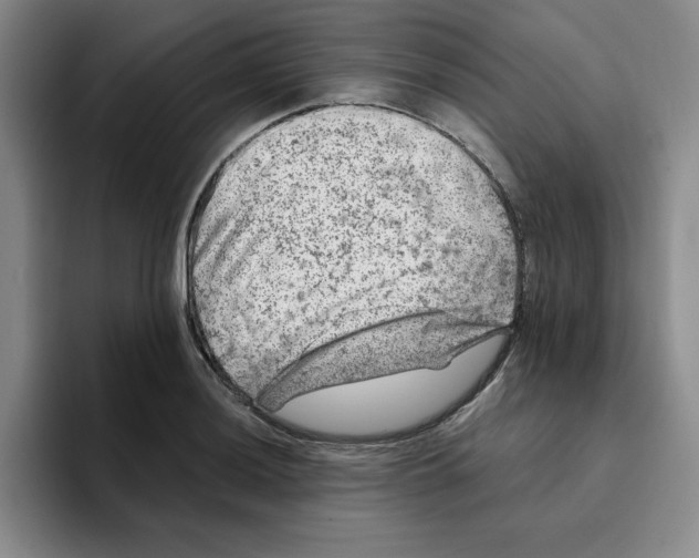 X0000096171036200802151431