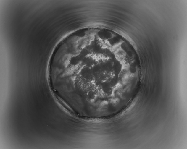 X0000096171037200802151431