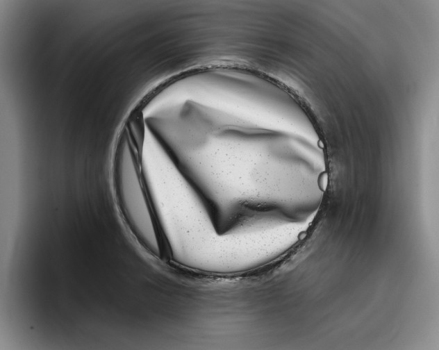 X0000096171038200802151431