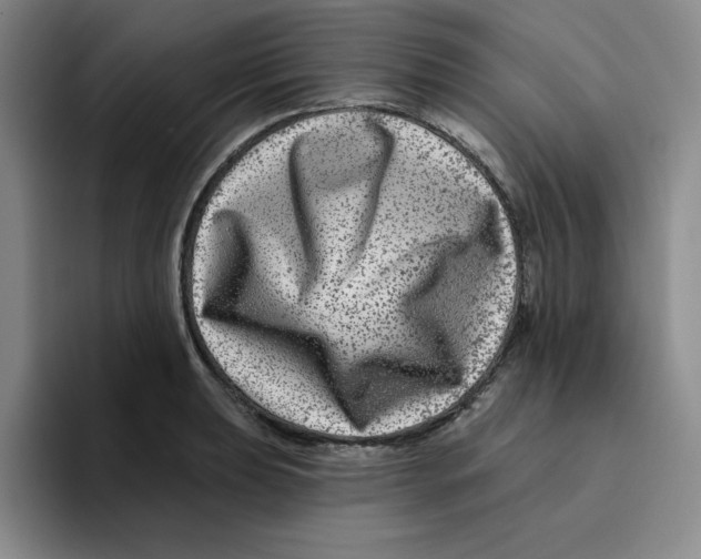X0000096171039200802151431