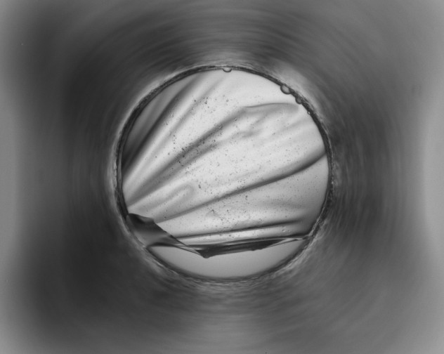 X0000096171040200802151431